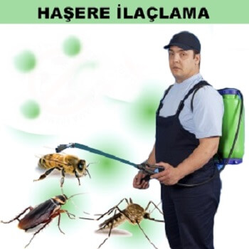 Yeniçağa Böcek İlaçlama